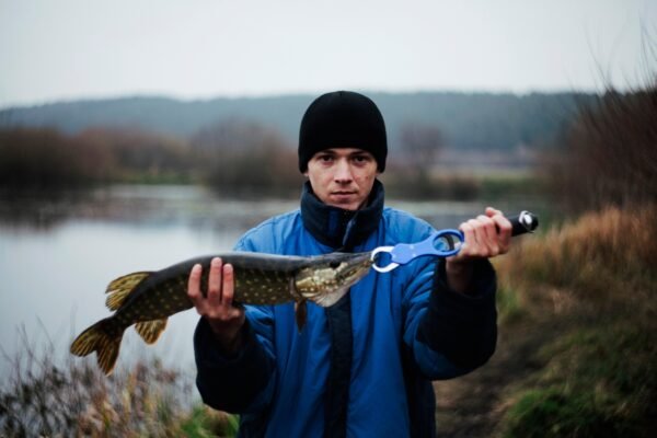 Fluke Fish: Ultimate Guide for Anglers and Seafood Lovers Fluke Fish